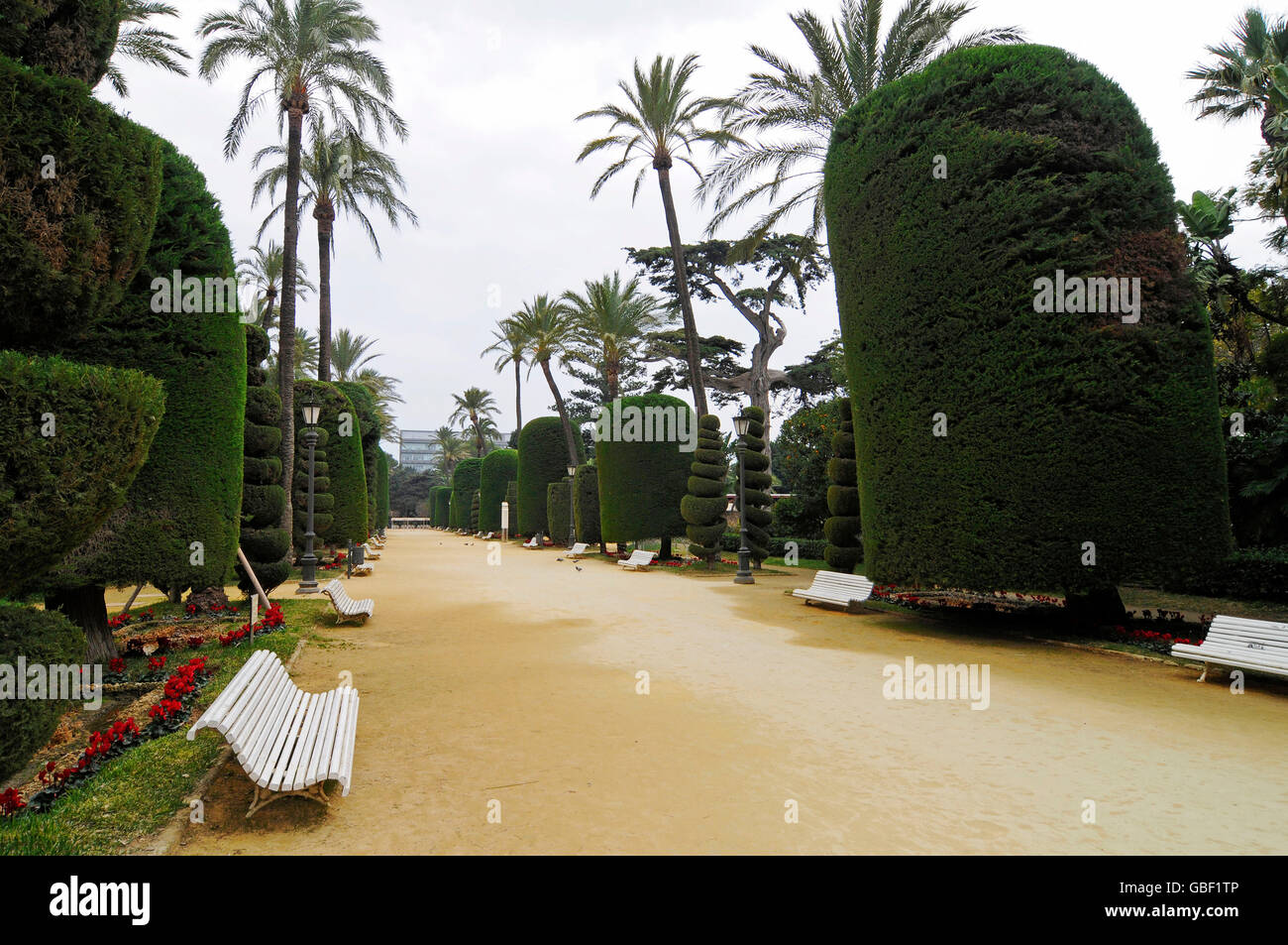 Parque Genoves, Parken, Cadiz, Provinz Cadiz, Costa del Luz, Andalusien, Spanien, Europa Stockfoto