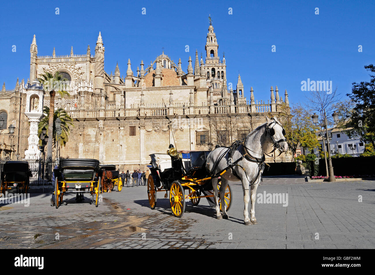 Pferd und Wagen, Plaza del Triunfo Quadrat, Kathedrale Santa Maria De La Sede, Sevilla, Sevilla Provinz, Andalusien, Spanien, Europa Stockfoto
