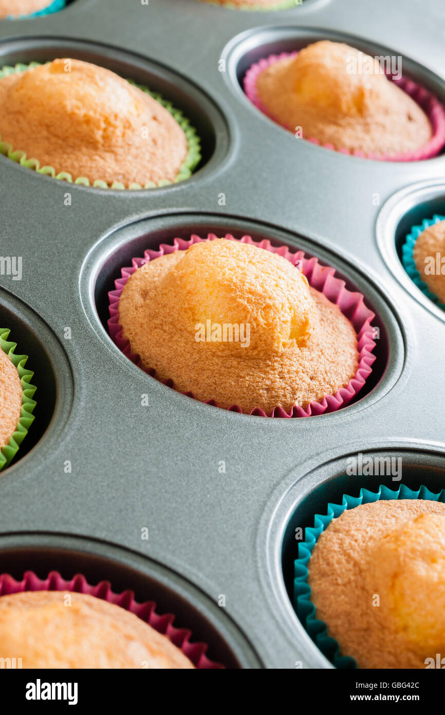 Frisch gebackene Schwamm, Cupcakes oder Feenkuchen in ein Muffinblech gerade aus dem Ofen Stockfoto