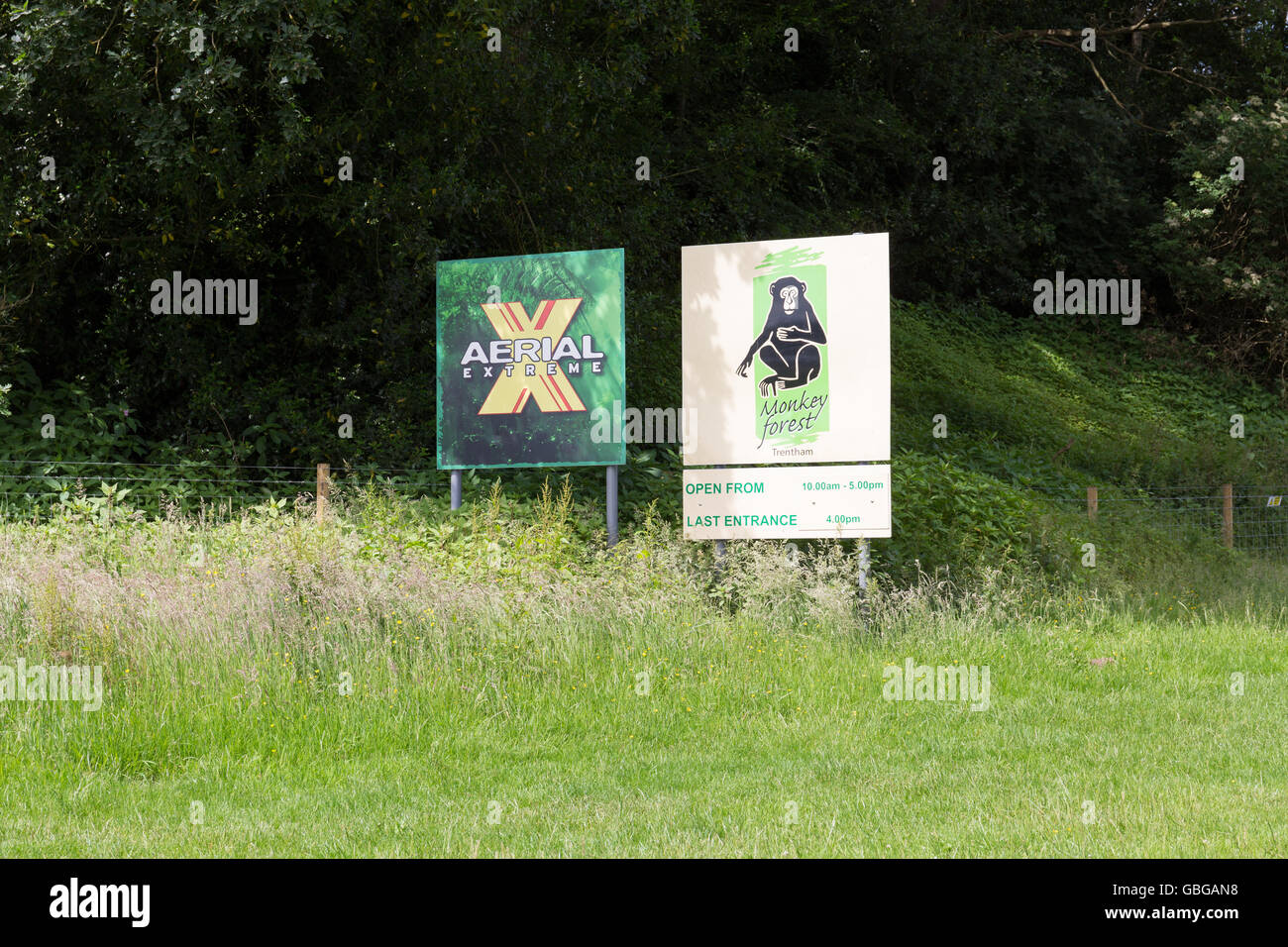 Trentham Gardens Affenwald Stockfoto