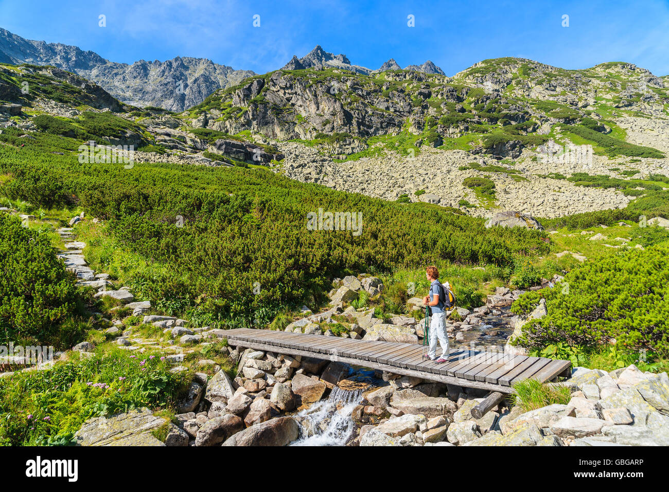 Junge Frau Backpacker stehend auf Holzsteg über Strom des Wassers im Sommerlandschaft der hohen Tatra, Slowakei Stockfoto