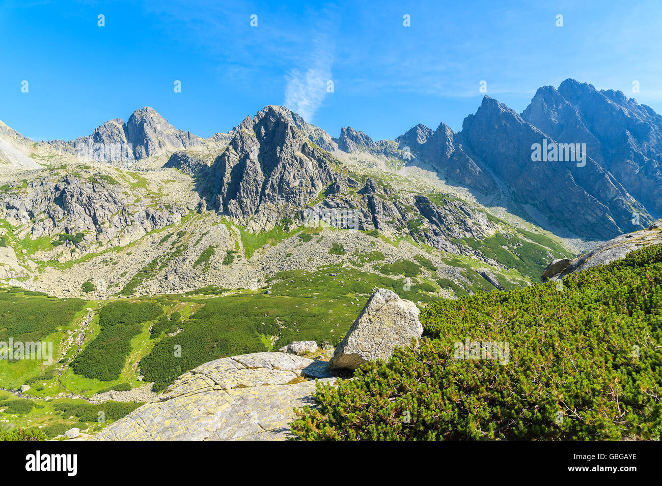 Blick auf grüne Starolesna-Tal im Sommerlandschaft der hohen Tatra, Slowakei Stockfoto