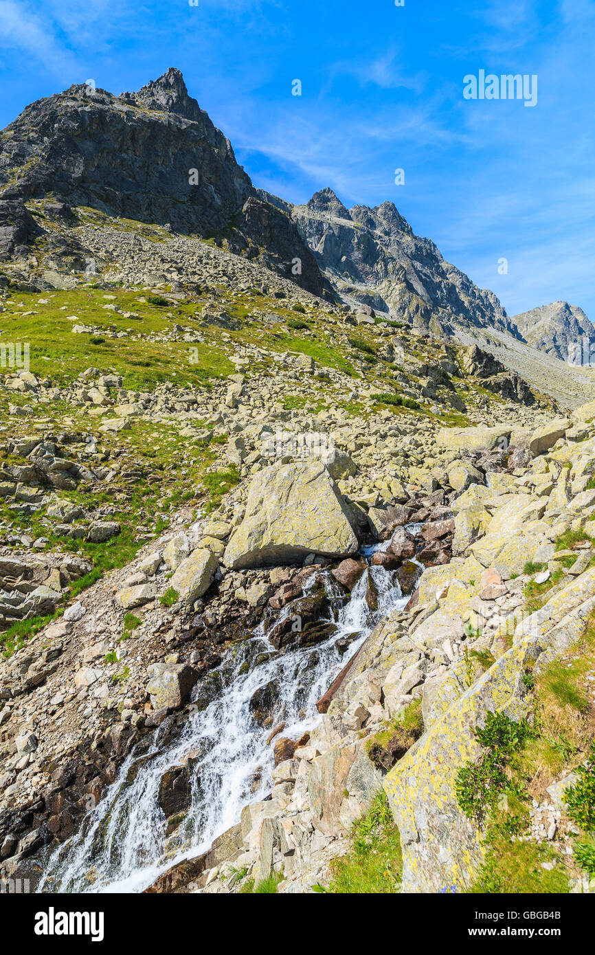 Wasserfall im Starolesna-Tal im Sommerlandschaft der hohen Tatra, Slowakei Stockfoto