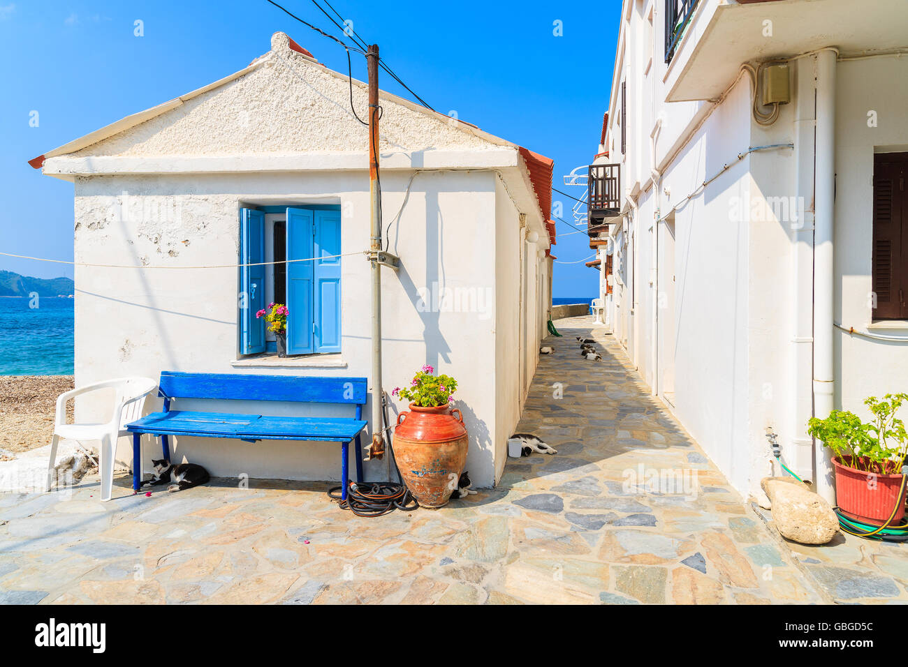 Typischen weißen griechischen Haus mit Katzen schlafen in einem schattigen Straße, Kokkari Stadt, Insel Samos, Griechenland Stockfoto