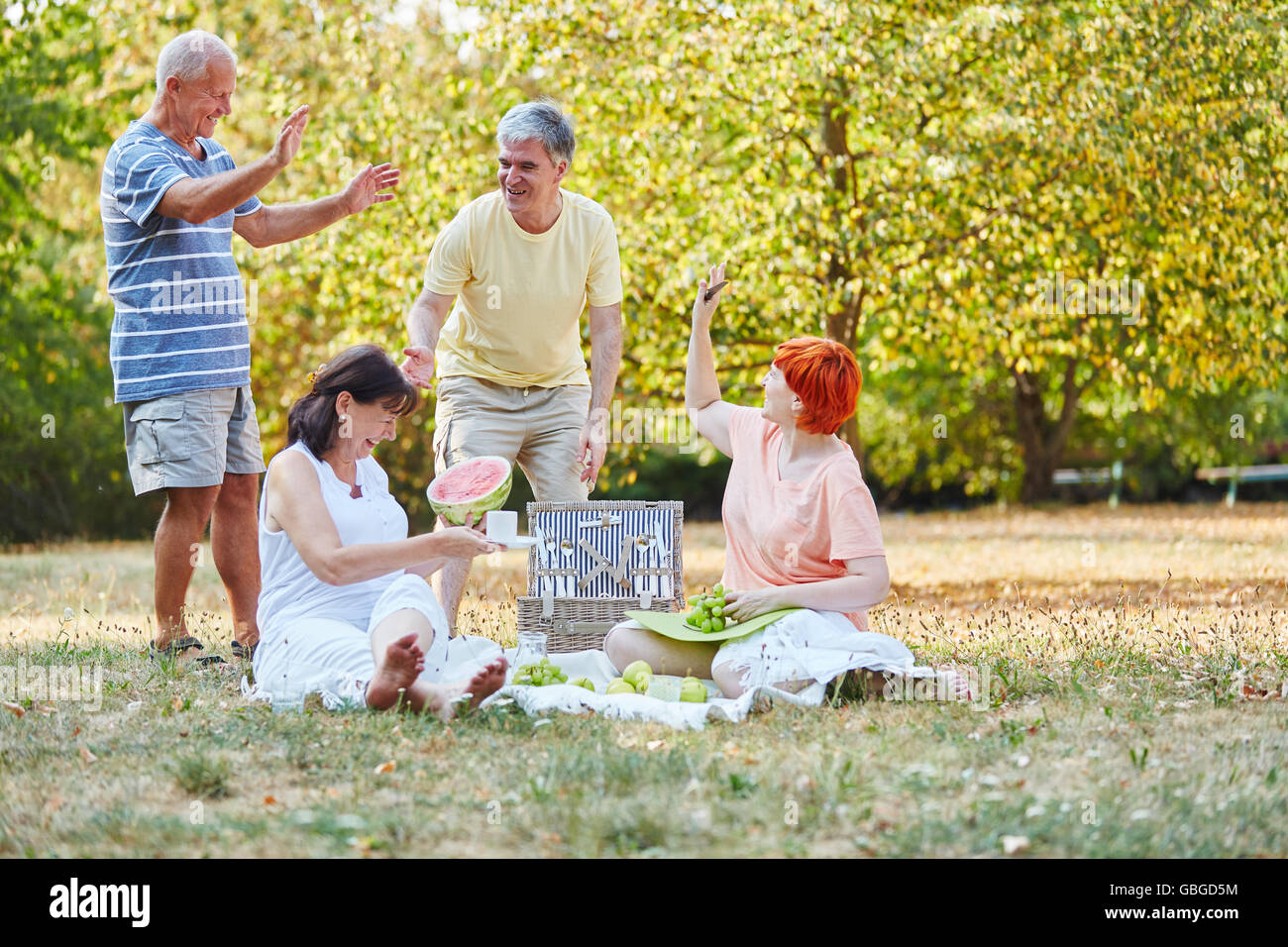 Gruppe von Senioren, die Spaß an einem Picninc im Park im Sommer Stockfoto