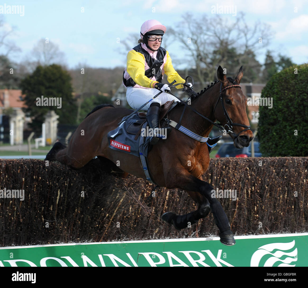 Pferderennen - Grand Military Gold Cup Day - Sandown Park. Oakfield Legend wird von L/Bdr Sally Randell auf dem Weg zum Grand Military Gold Cup geführt Stockfoto