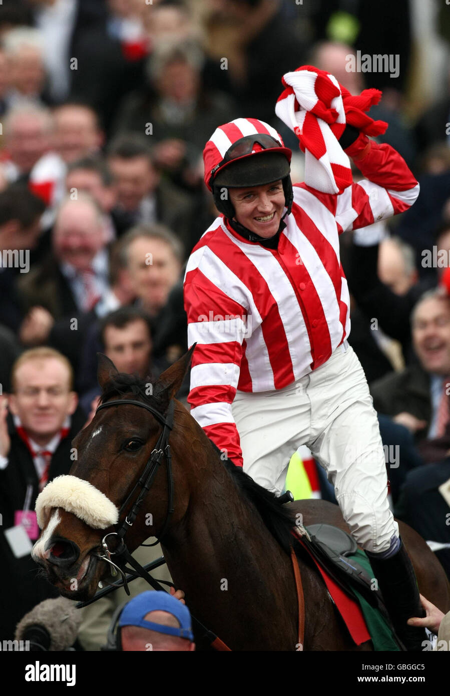 Pferderennen - Cheltenham Festival 2009 - Tag eins - Cheltenham Racecourse Stockfoto