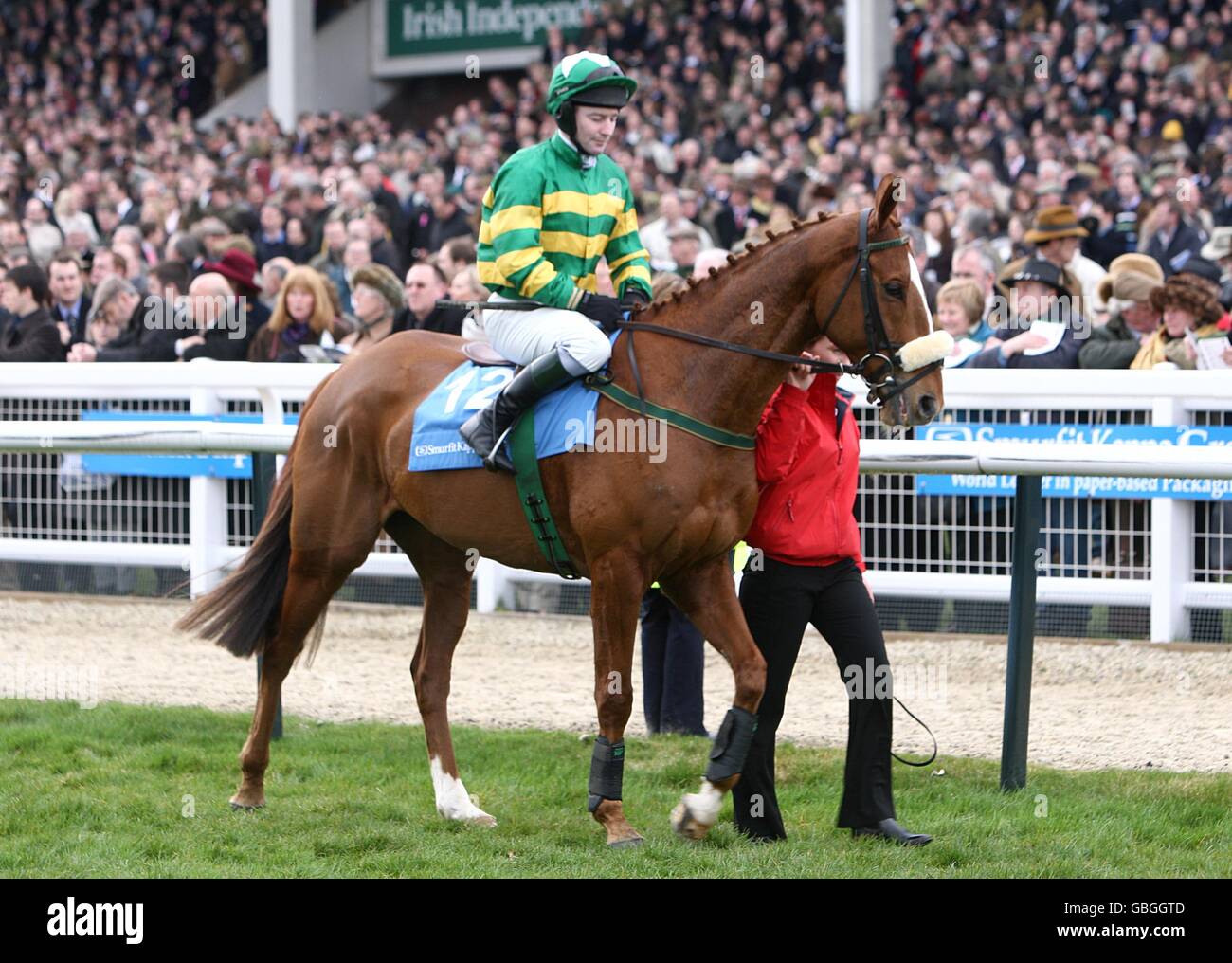 Pferderennen - Cheltenham Festival 2009 - Tag 1 - Cheltenham Rennbahn. Jered wird von David Casey gefahren und wird für die Schlurfit Kappa Champion Hurdle Challenge Trophy posten Stockfoto