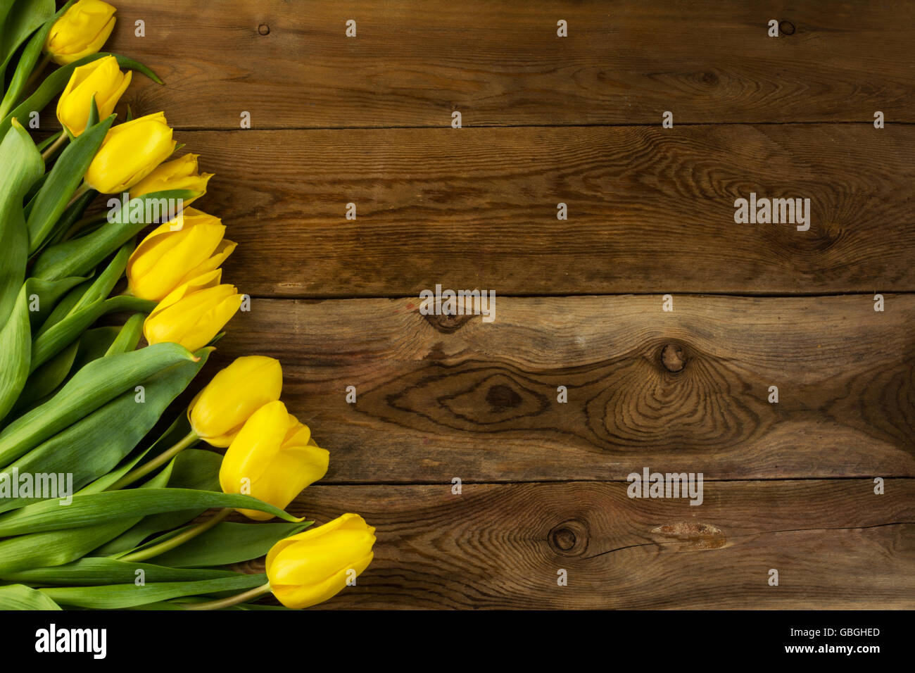 Gelbe Tulpen auf hölzernen Hintergrund, Textfreiraum. Frühling Blumen. Blumengrüße.  Blumen Postkarte Stockfoto