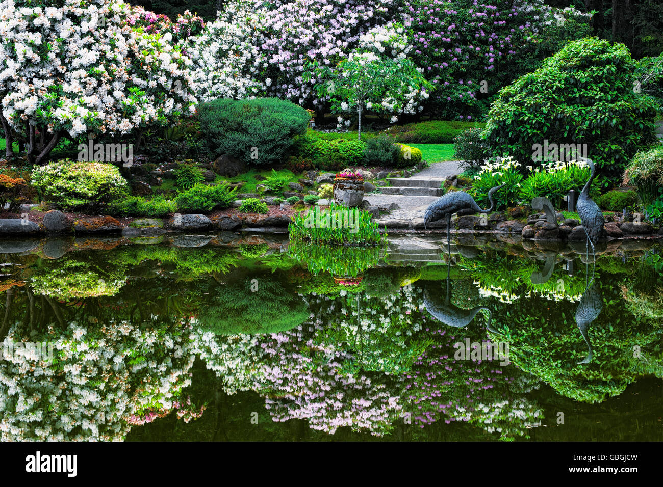 Frühling Blüte Reflexionen im Lily Pond im Shore Acres State Park Botanical Garden im Süden Oregons Küste. Stockfoto