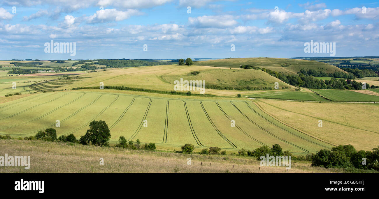 Nahen Hügel und Scratchbury Hill. Panorama vom Battlesbury Hill, mit mittelalterlichen Streifen Lynchets am Rand der Salisbury Plain Stockfoto