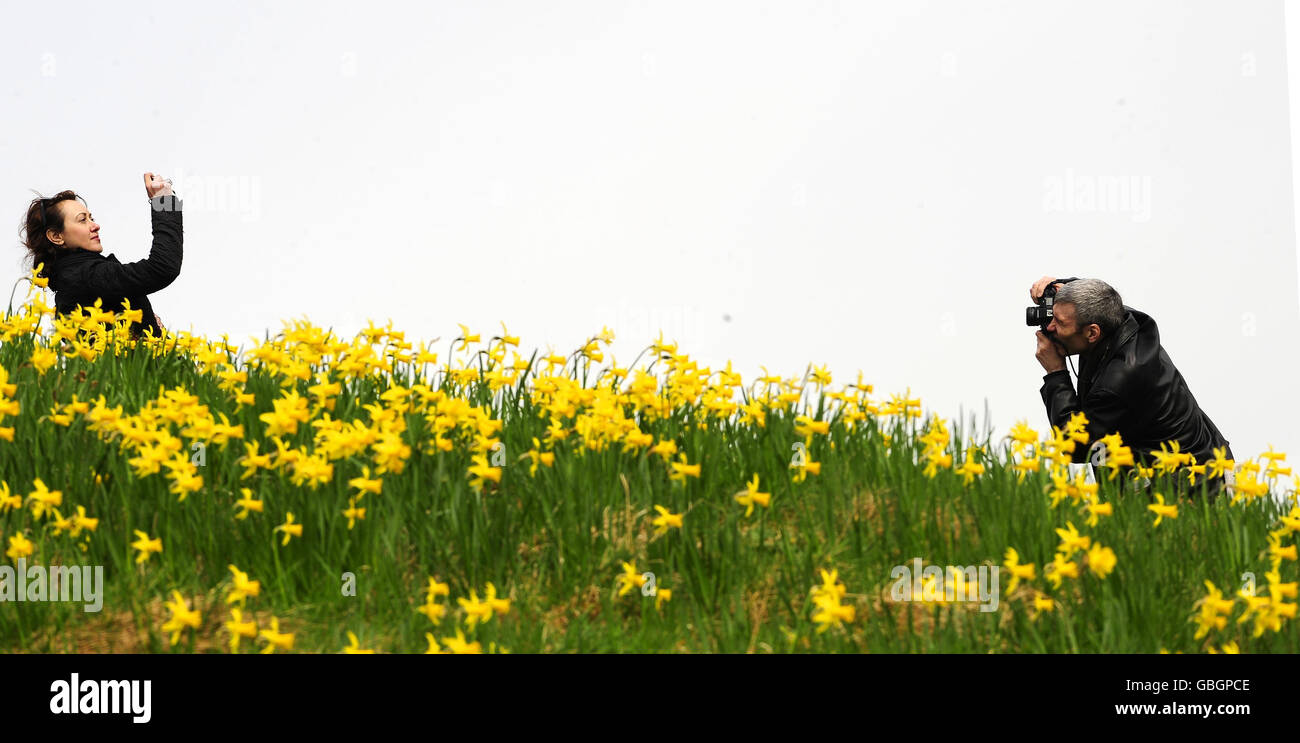 Das Wetter im Frühling Stockfoto