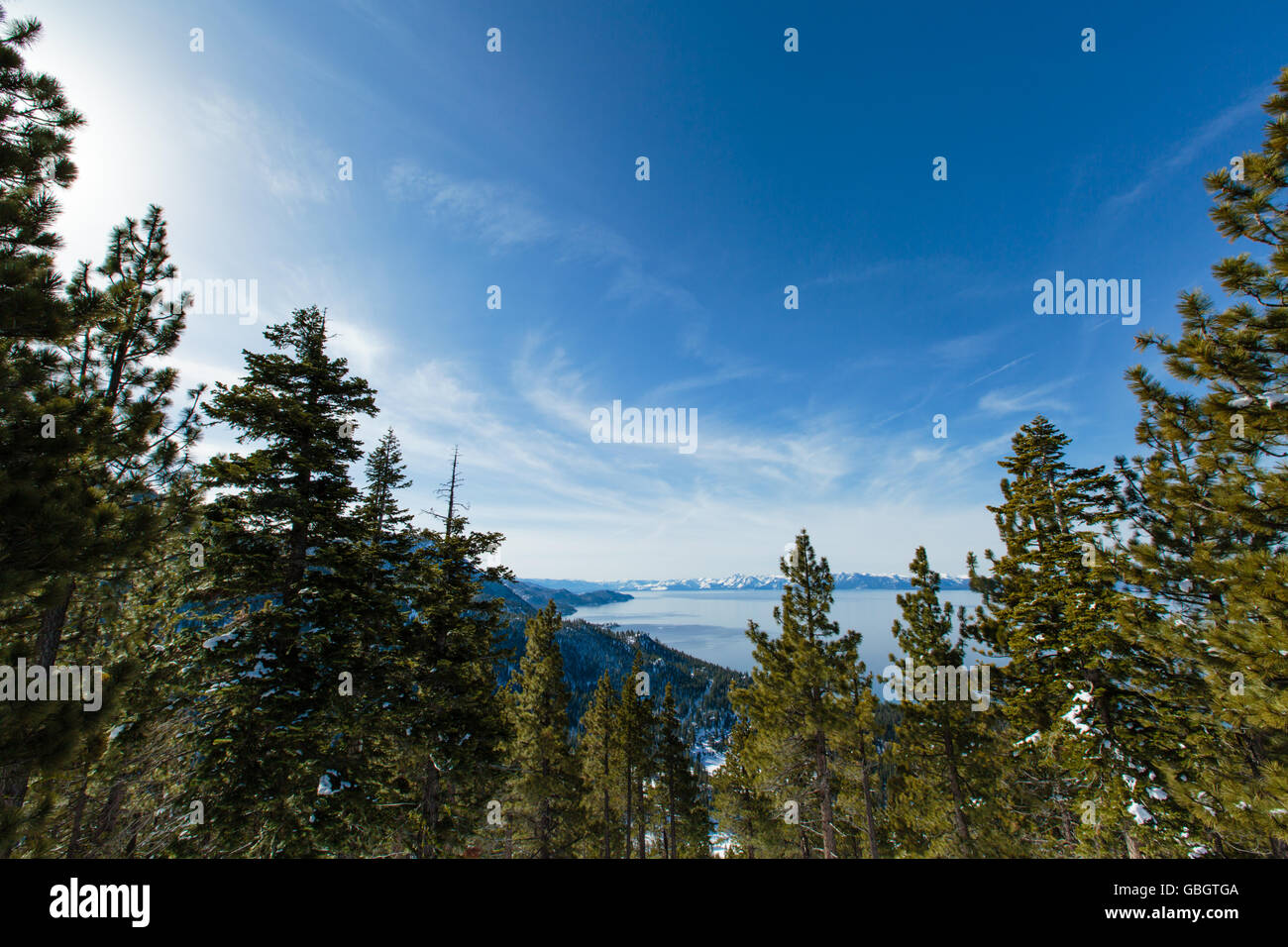 Lake Tahoe durch die Bäume Stockfoto