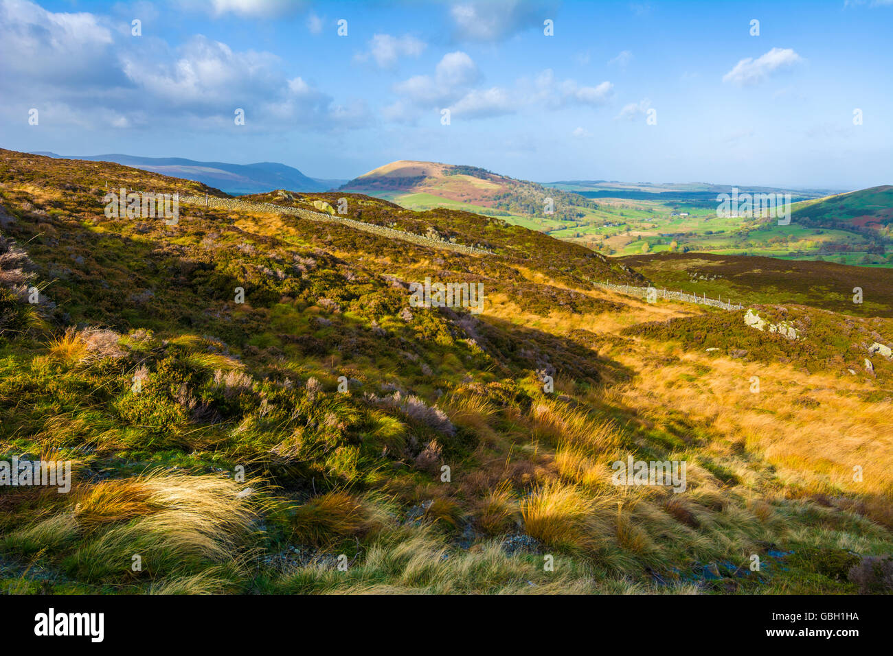 Die Aussicht Richtung Norden fiel von Gowbarrow in Richtung große Mell fiel in den Lake District National Park, Cumbria, England. Stockfoto