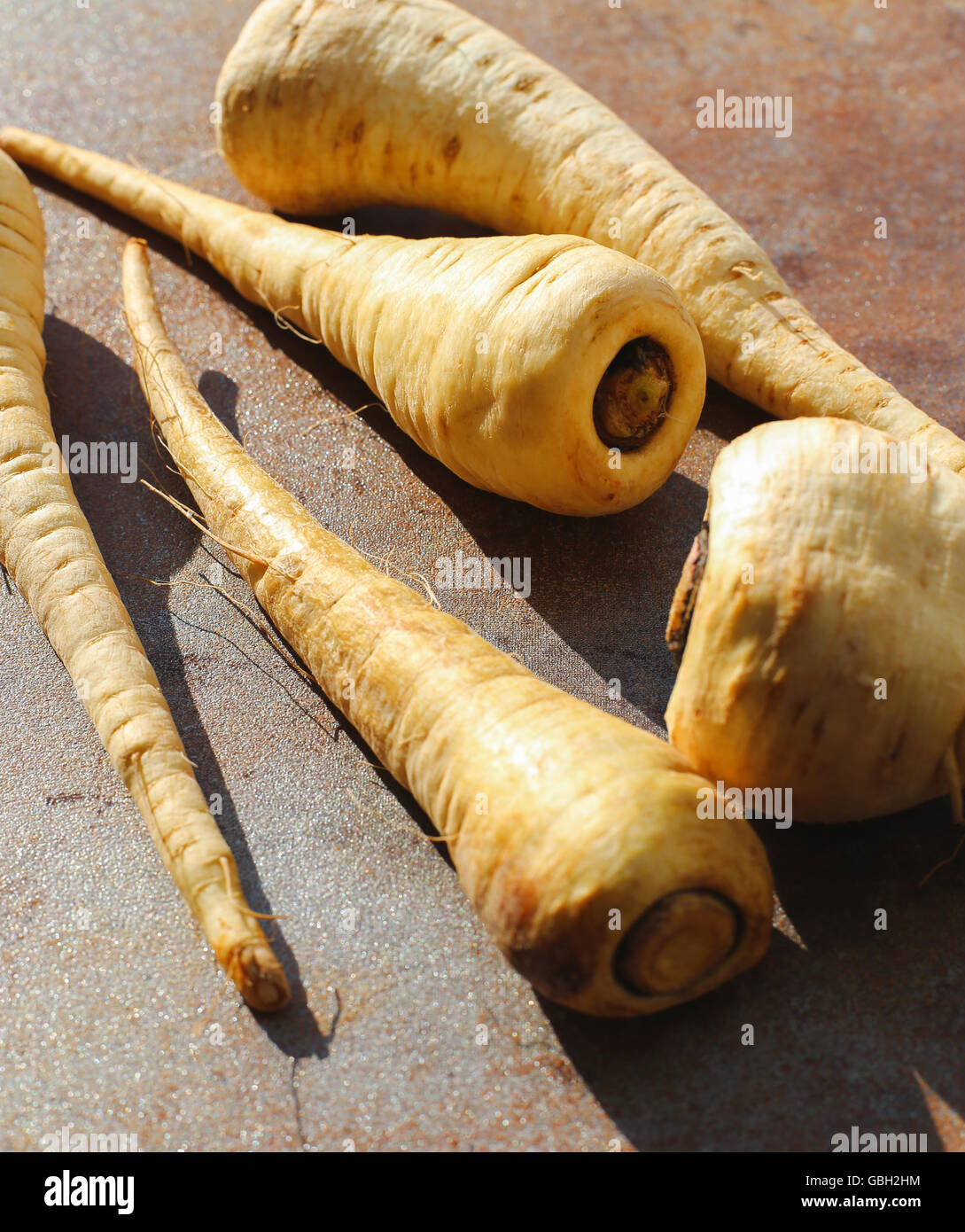 Geformte pastinake -Fotos und -Bildmaterial in hoher Auflösung – Alamy