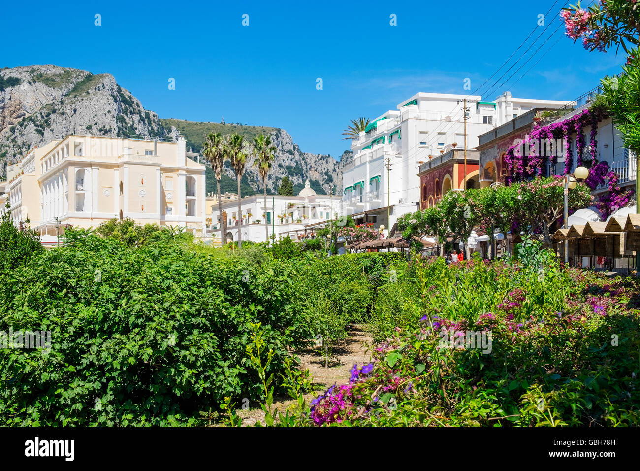 Gärten des Hotel Quisisana auf der Insel Capri, Italien Stockfoto