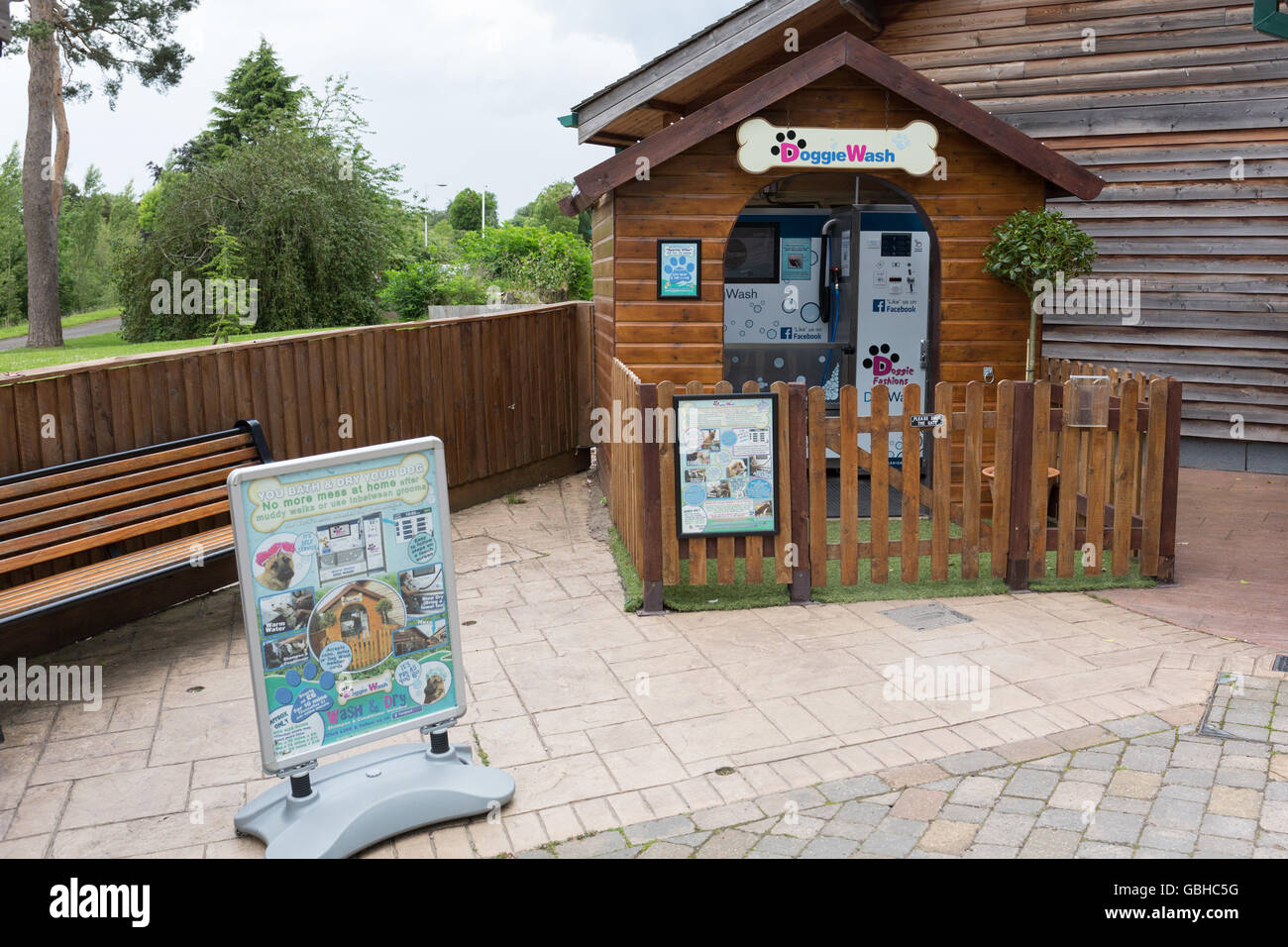 Hund waschen in Trentham Gardens Stockfoto