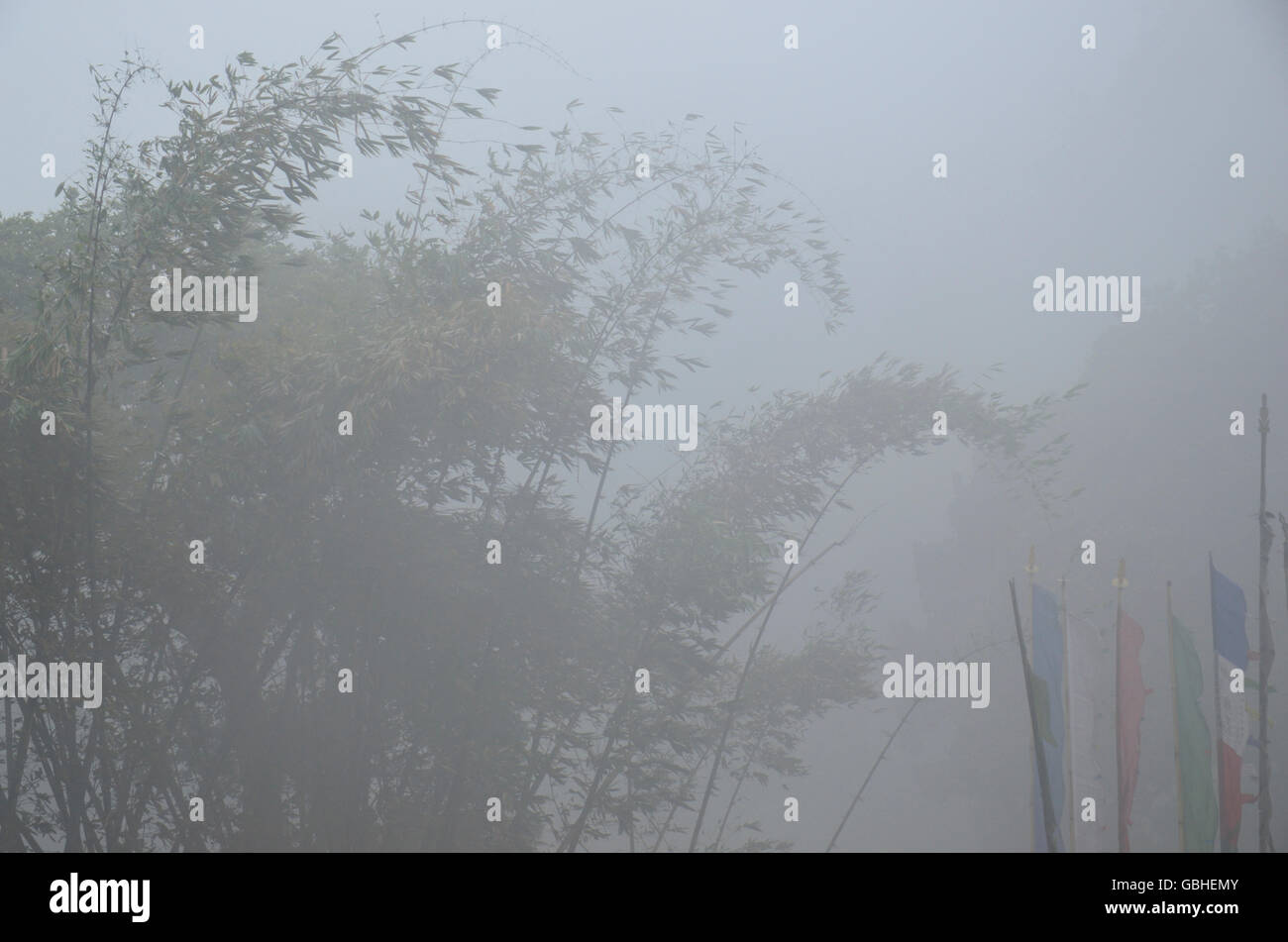 Landschaft aus Kaluk, West Sikkim, Indien Stockfoto