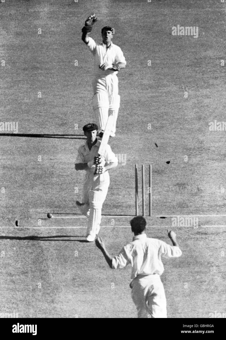 Cricket - The Ashes - Zweiter Test - Australien gegen England - erster Tag. Der australische Lindsay Hassett (c) wird von dem englischen Trevor Bailey (unten) sauber gewirbelt, wie der Wicketkeeper Godfrey Evans (oben) feiert Stockfoto
