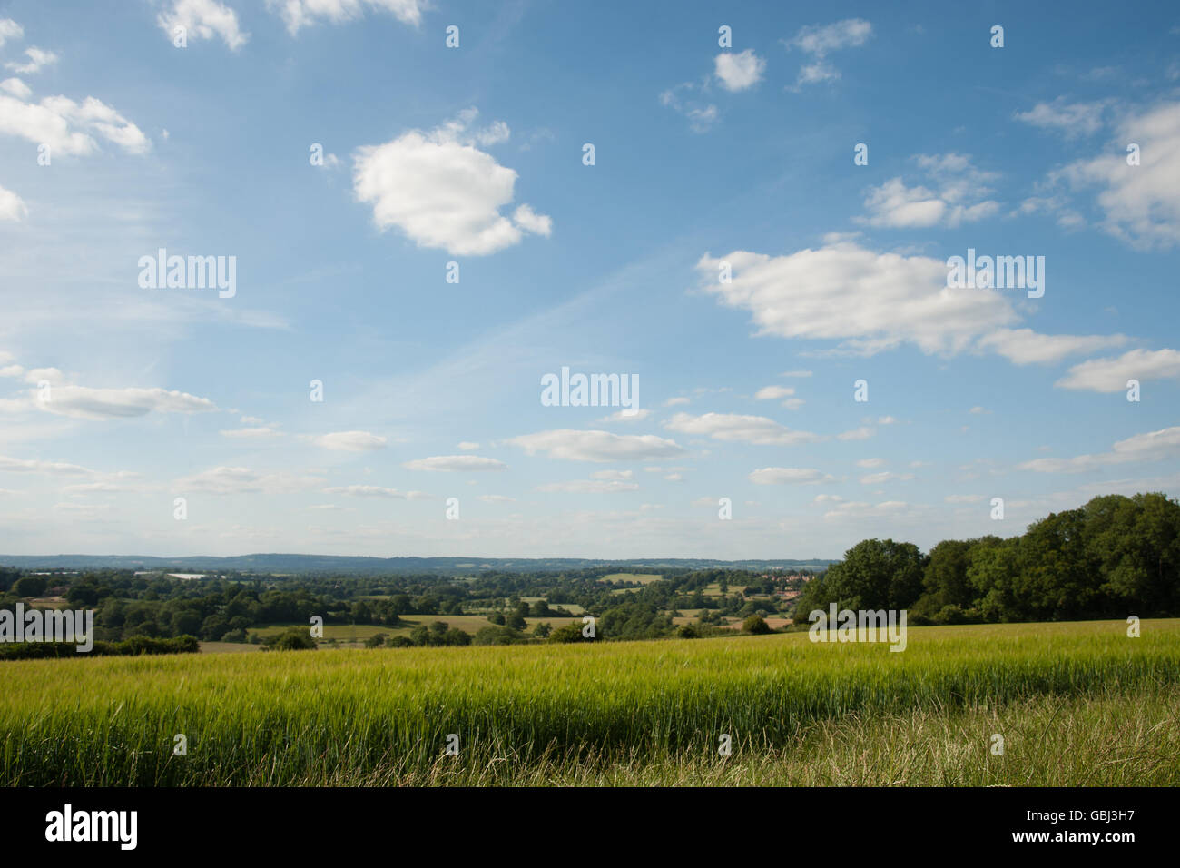 Blick auf die North Downs von einem Campingplatz in Tunbridge Wells Kent UK mit einem markanten blauen Himmel und langen grünen Rasen Stockfoto