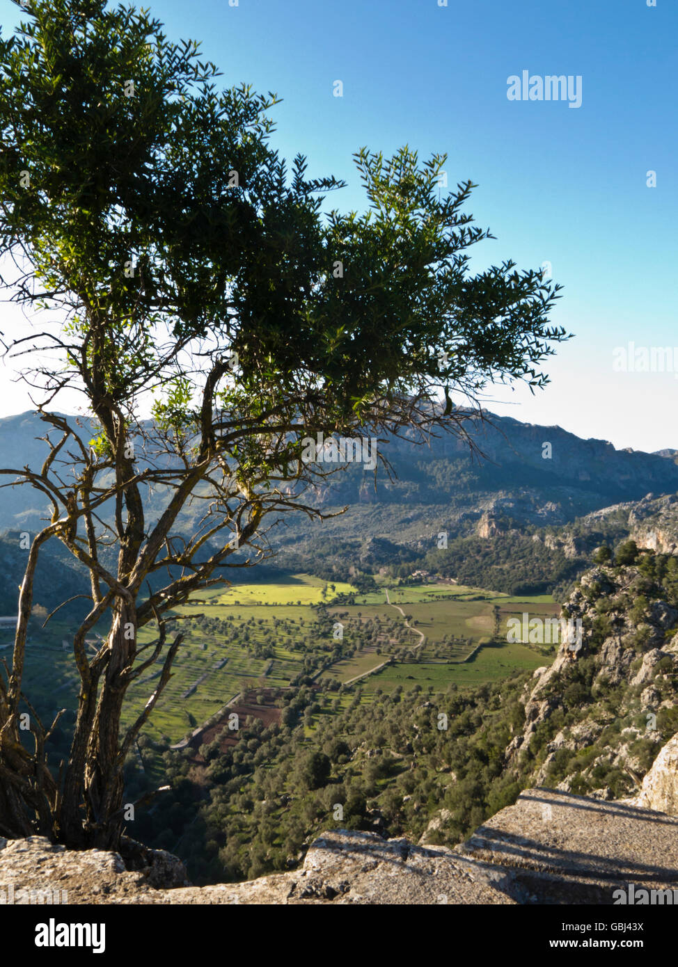 Aussichtspunkt Beim Kloster Lluc auf Mallorca Stockfoto