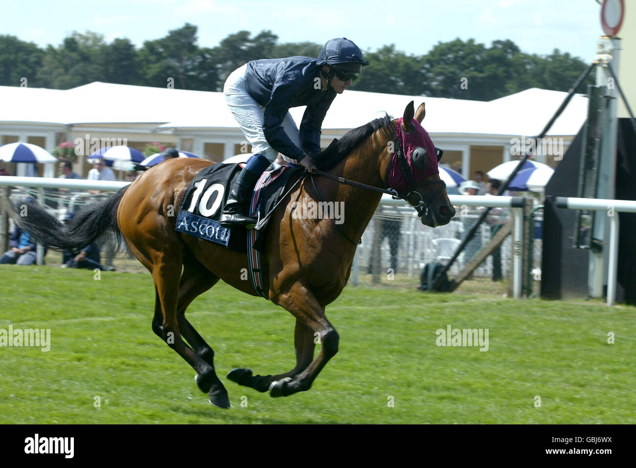 Pferderennen - Royal Ascot. Der Jockey Paul Scallan fährt Newton am Zielpunkt der St James's Palace Stakes vorbei Stockfoto