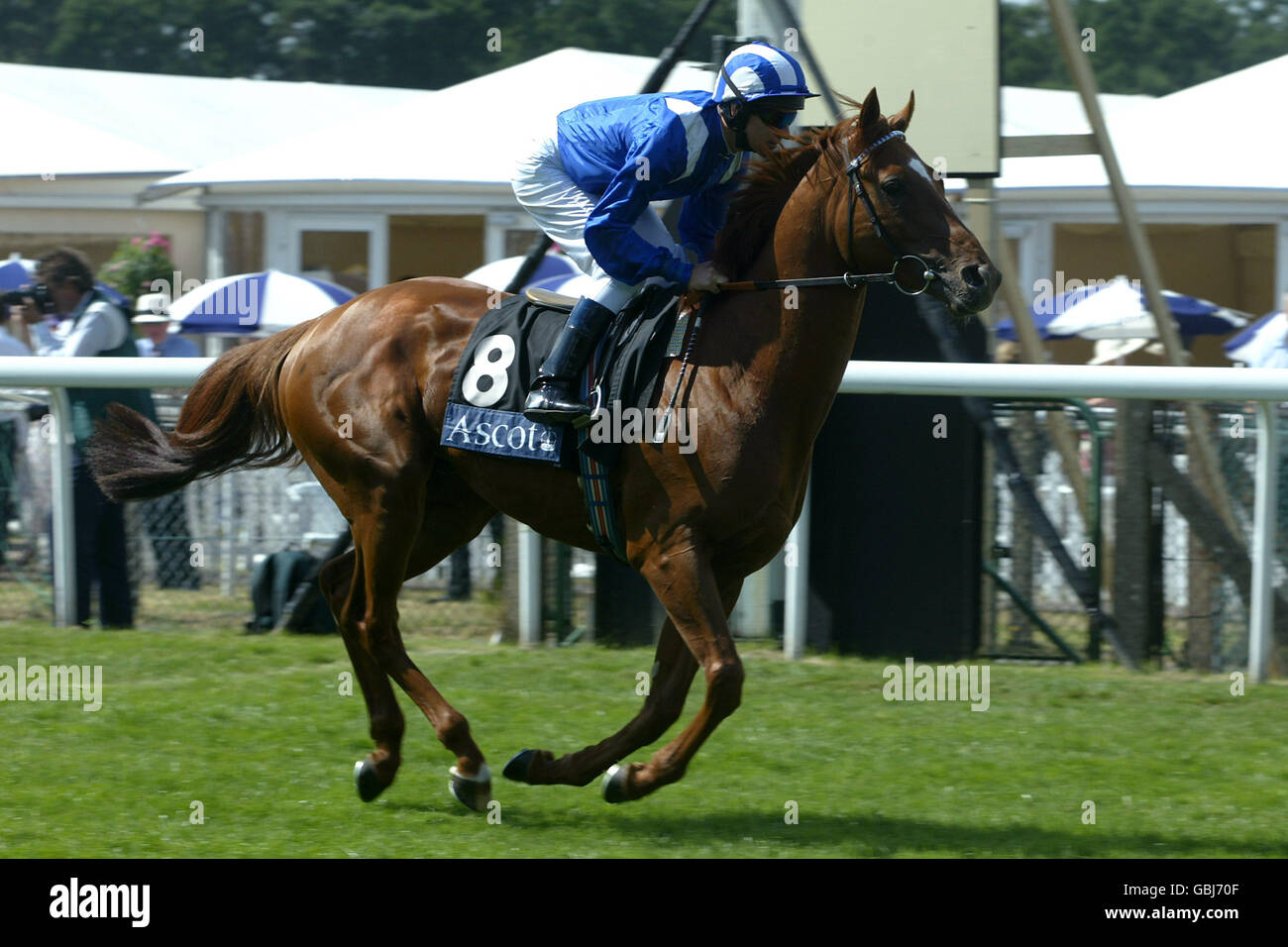 Jockey Richard Hills fährt Haafhd am Zielpunkt vorbei Der St. James's Palace steht auf dem Spiel Stockfoto