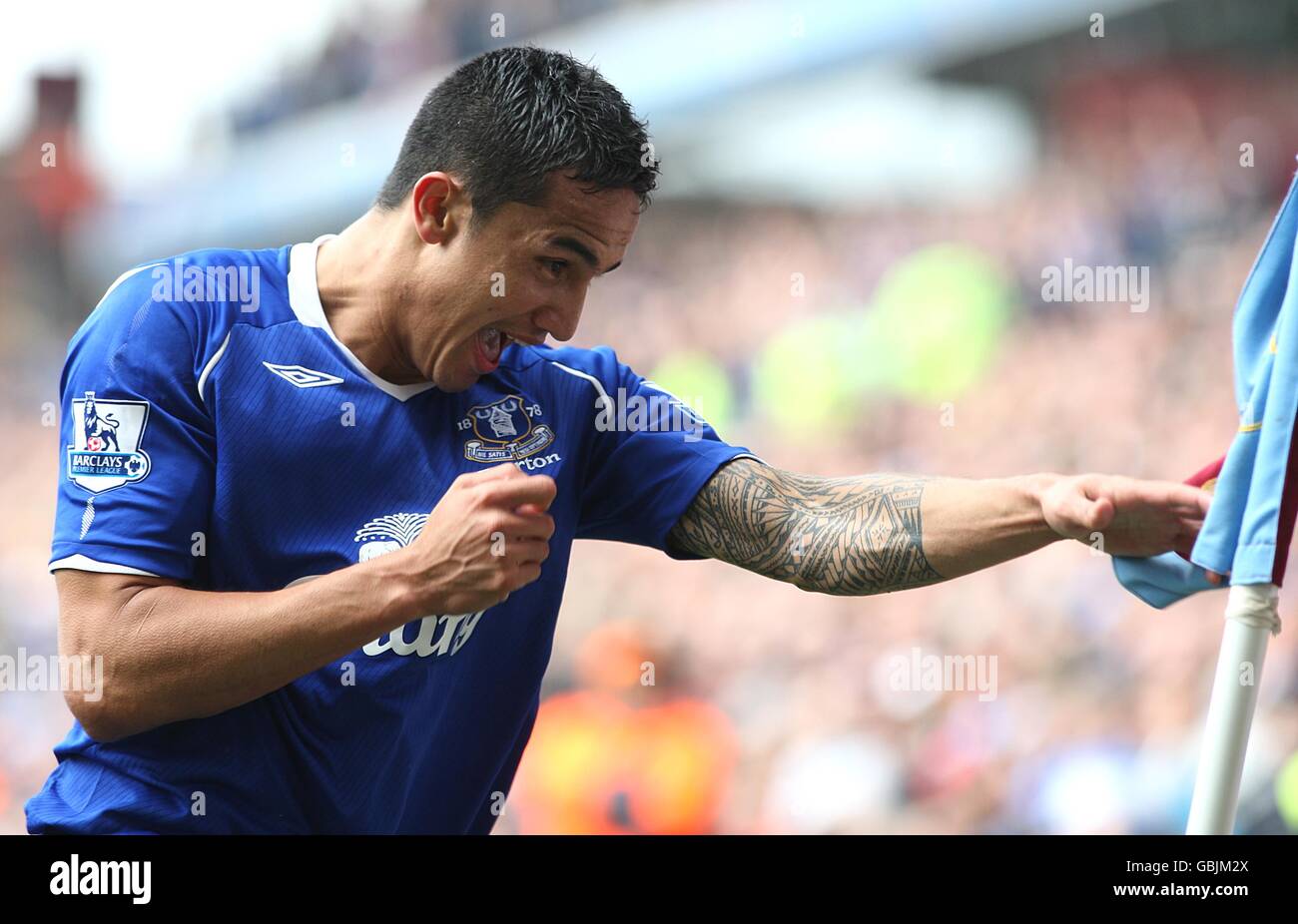 Fußball - Barclays Premier League - Aston Villa gegen Everton - Villa Park. Evertons Tim Cahill feiert nach dem zweiten Tor Stockfoto