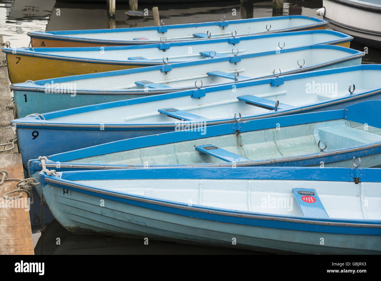 Eine Reihe von Ruderboote in henley Stockfoto