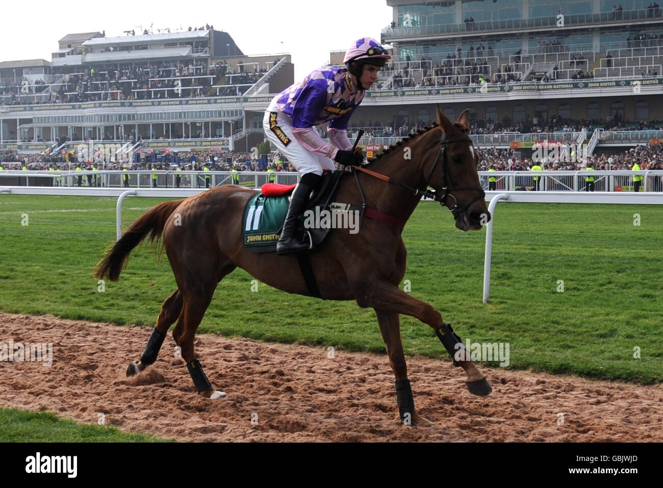 Pferderennen - The 2009 John Smith's Grand National Meeting - Tag zwei - Aintree Racecourse. Der Jockey Aidan Coleman auf Ping Pong Sivola tritt für die John Smith's Topham Steeple Chase auf Stockfoto