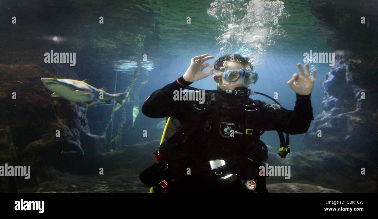 DJ Romeo schwimmt mit Haien. Radio DJ Romeo schwimmt mit Haien in Deep Sea World, North Queensferry, Schottland. Stockfoto
