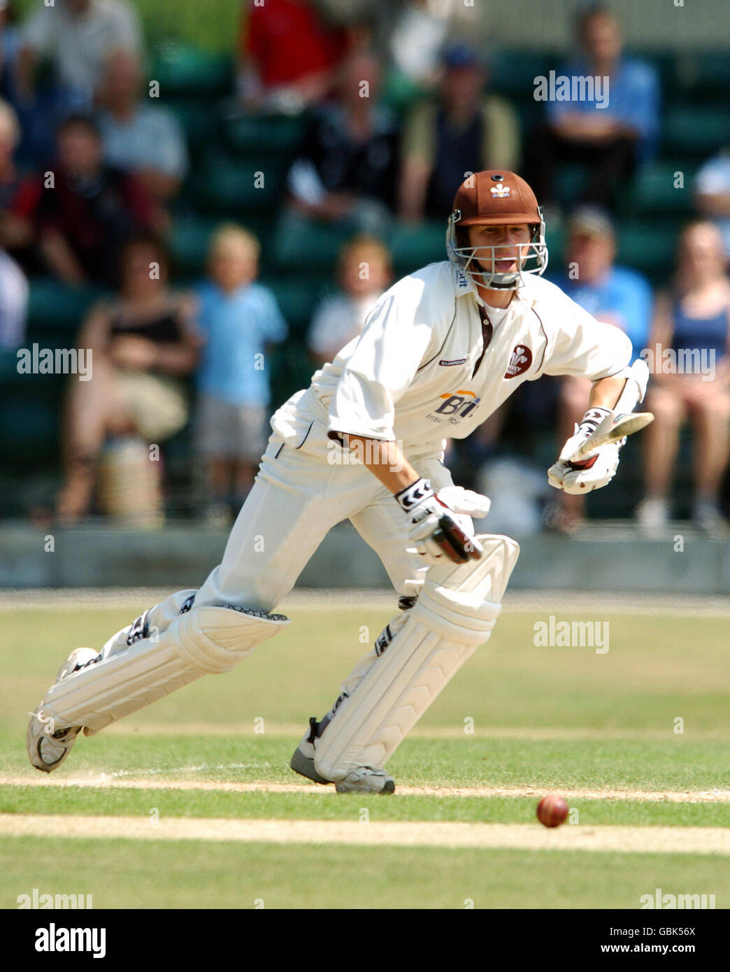 Cricket - Frizzell County Championship - Division One - Surrey V Warwickshire. Jonathan Batty von Surrey Stockfoto