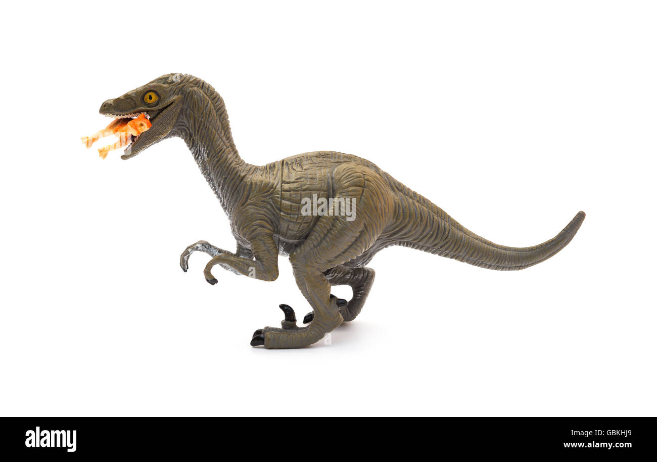 Seitenansicht Deinonychus beißen einen kleineren Dinosaurier auf weißem Hintergrund Stockfoto