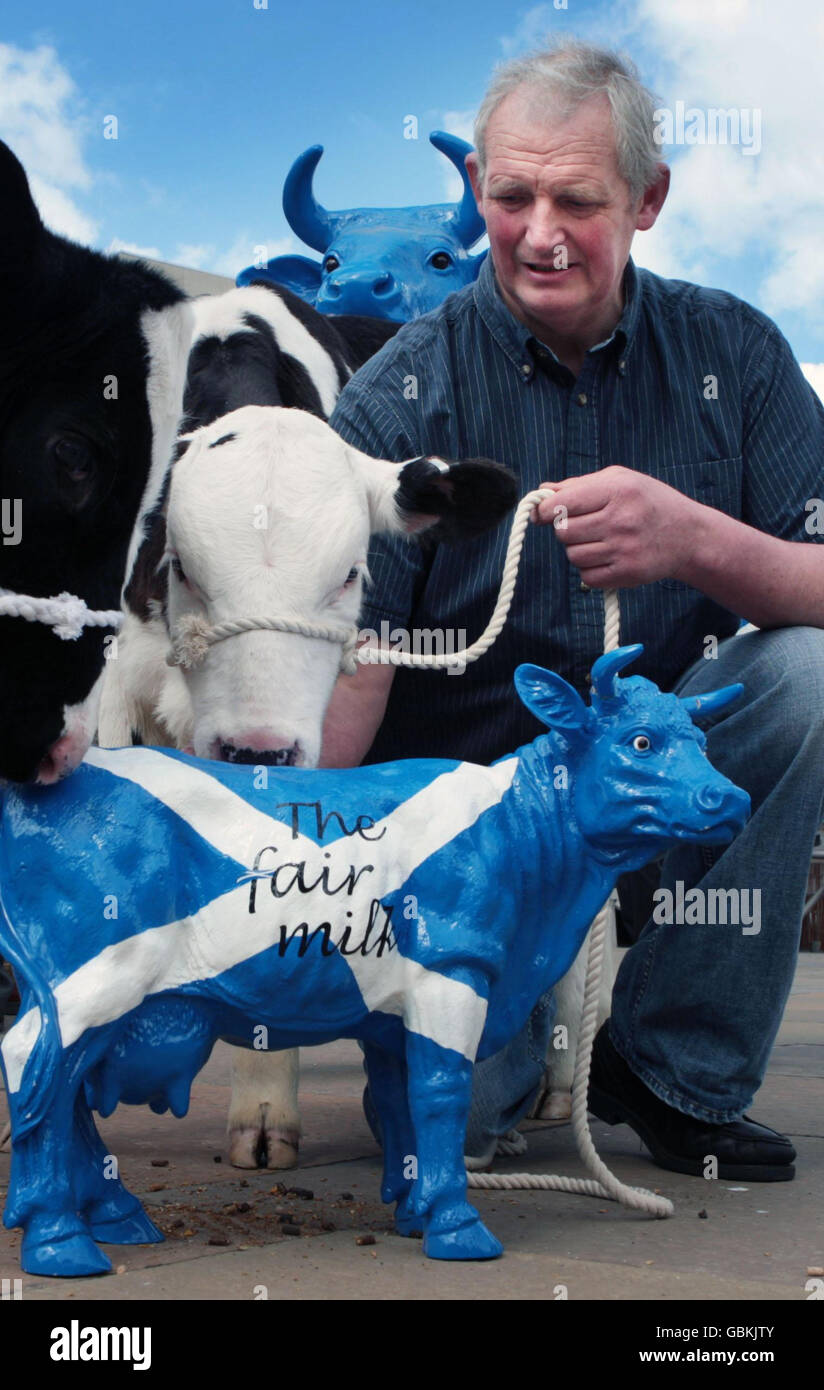 Der Landwirt David Robertson protestiert vor dem schottischen parlament in Edinburgh gegen sinkende Milchpreise. Laut Branchenführern sind die Preise seit Anfang des Jahres um 20 % gesunken. Stockfoto