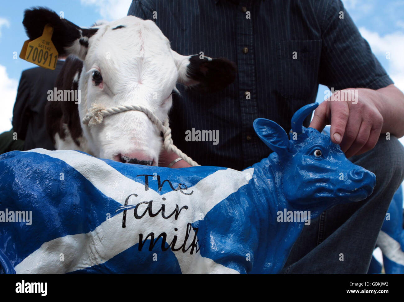 Bauern protestieren vor dem schottischen parlament in Edinburgh gegen sinkende Milchpreise. Laut Branchenführern sind die Preise seit Anfang des Jahres um 20 % gesunken. Stockfoto