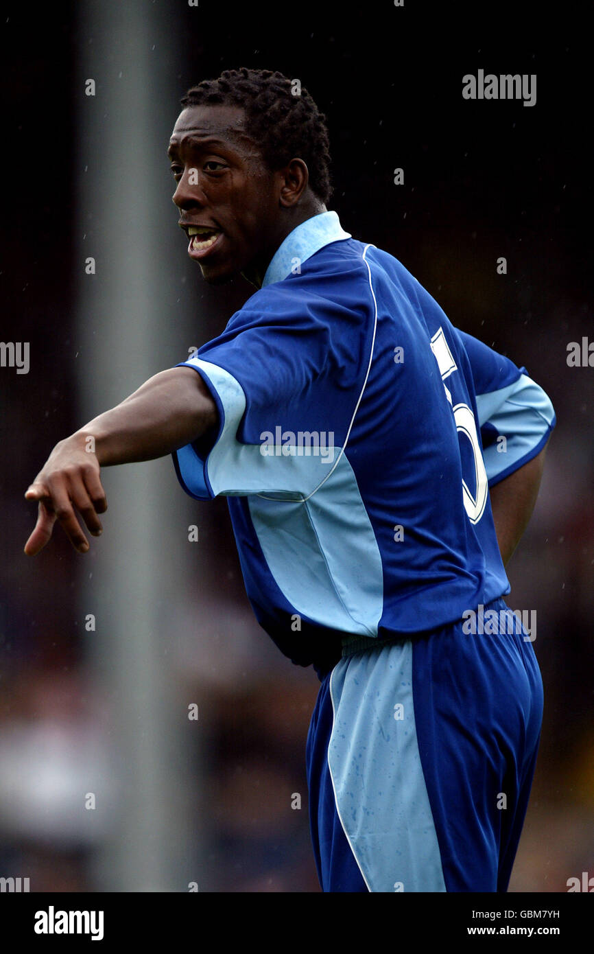 Fußball - freundlich - Fulham gegen Watford. Lloyd Doyley, Watford Stockfoto