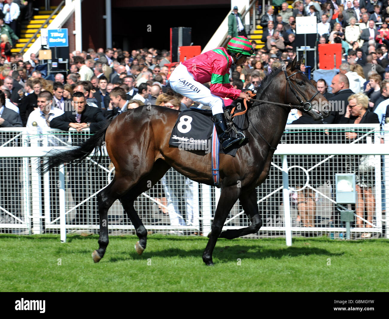 Pferderennen - Festival - Tag drei - Chester Rennbahn - Hawker Beechcraft Handicap Stakes kann Stockfoto