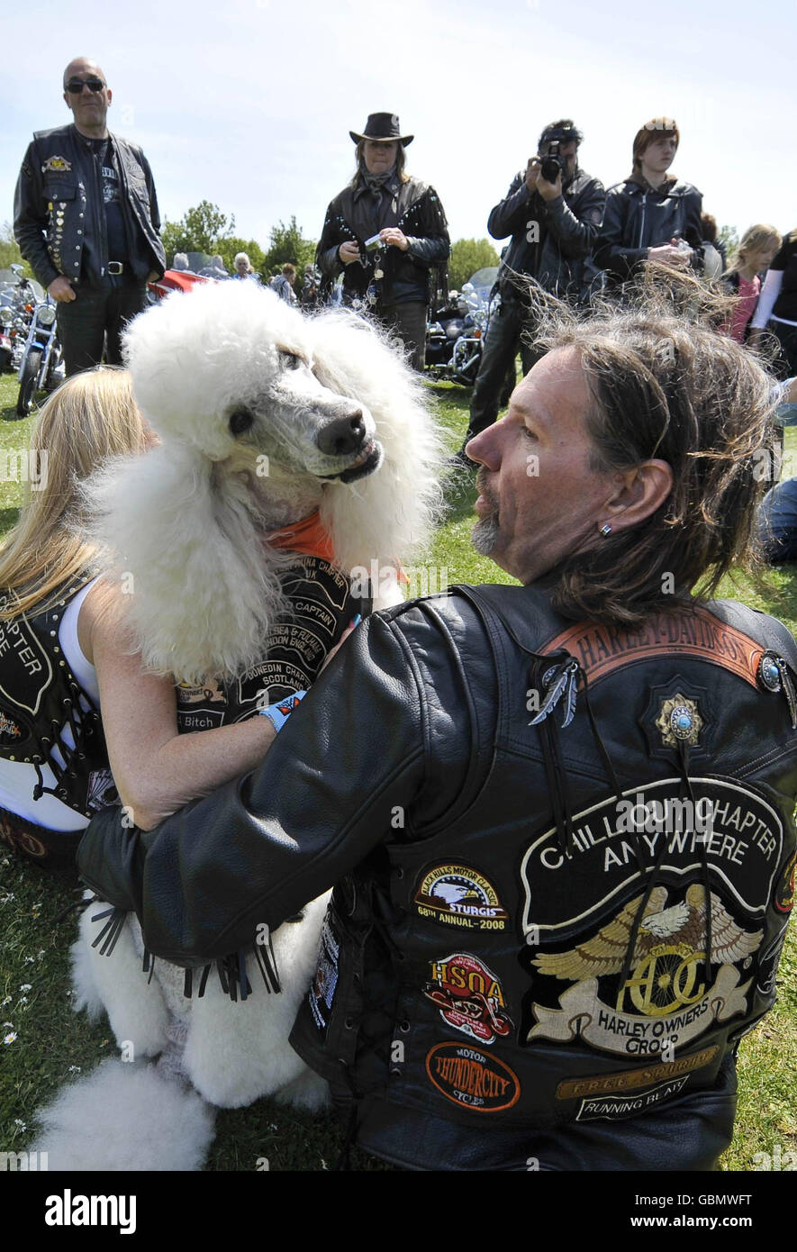 Oliver, der Pudel, in seiner Bikerjacke gekleidet, mit seinem Besitzer Robert Gunson aus Sheffield, im Lodmoor County Park, Warmwell Leisure Center, Warmwell, in der Nähe von Dorchester, Dorset während der jährlichen Fahrradtour der Harley Davidson Owners Group treffen sich Mitglieder. Stockfoto