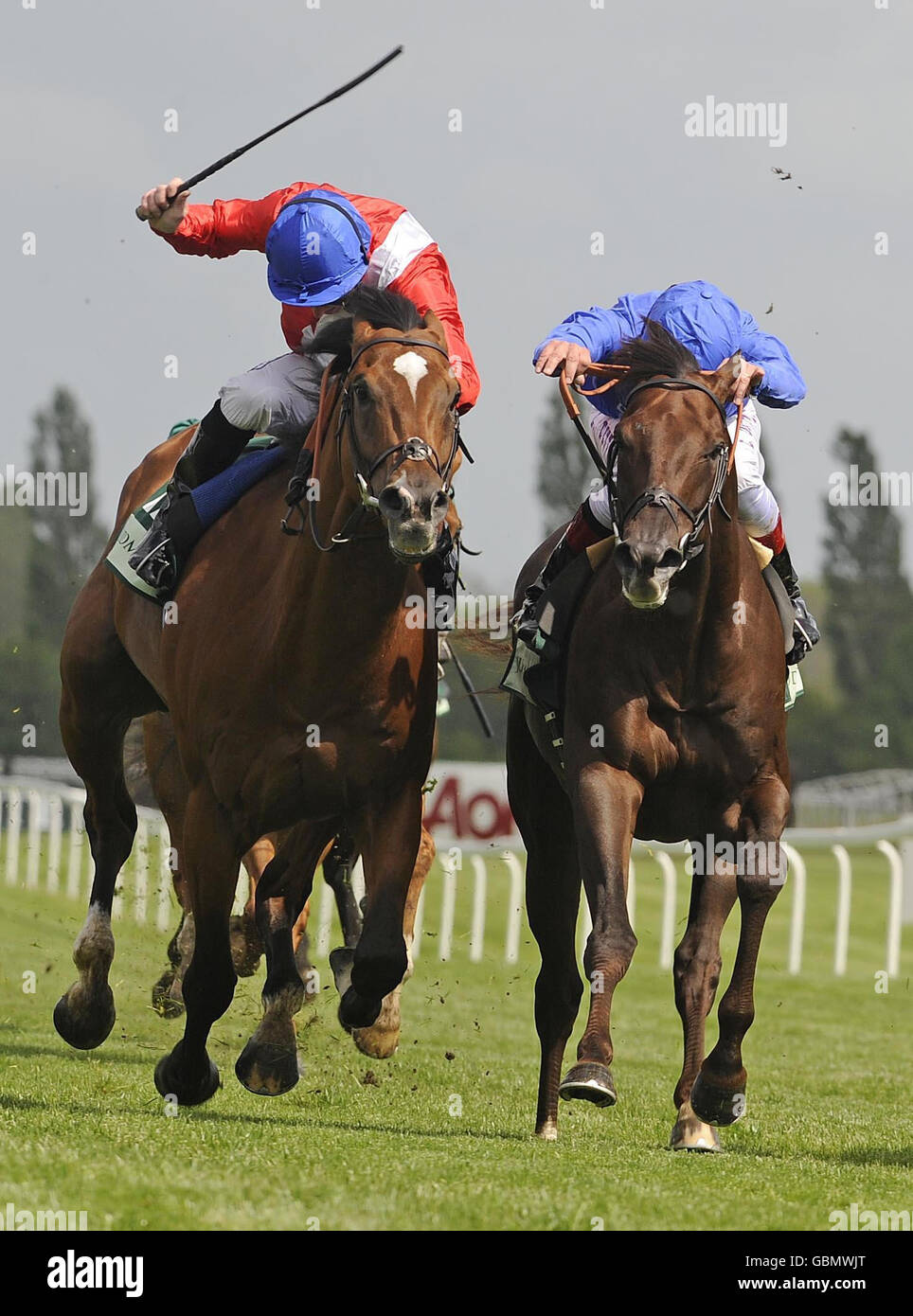 Pferd - Juddmonte Lockinge Regattatag - Newbury Racecourse Stockfoto