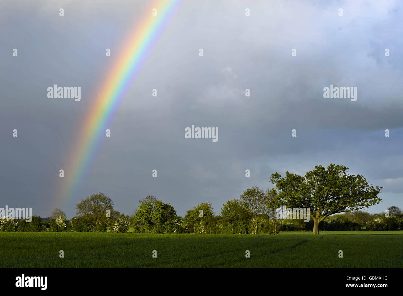 Ein Regenbogen bildet sich über Feldern in der Nähe von Stow on the Wold, Gloucestershire, nach Stürmen und Sonnenschein in der Gegend. Stockfoto