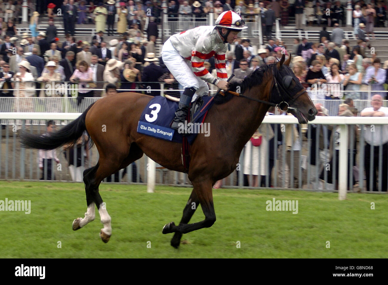 Pferderennen - York Races. Jockey Mick Kinane postet auf Let the Lion Roar im Daily Telegraph Great Voltigeur Stakes Stockfoto