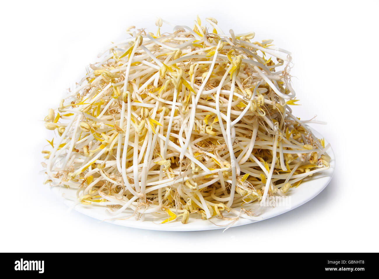 Ein Gericht aus mungobohne Bean Sprout isoliert auf weißem Hintergrund Stockfoto