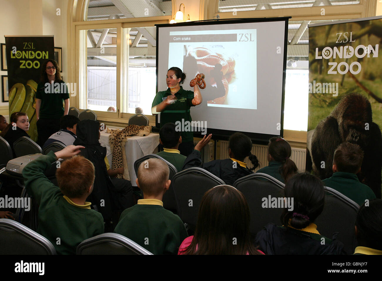 Mitarbeiter des Londoner Zoos zeigen eine Maisschlange Schulkinder im Brit Oval Stockfoto