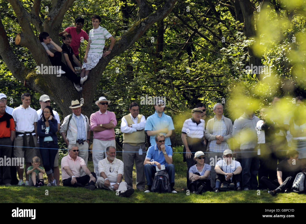 Golf - BMW PGA Championship 2009 - Tag drei - Wentworth Golf Club. Die Zuschauer klettern während der Runde 3 der BMW PGA Championship im Wentworth Golf Club, Surrey, auf einen Baum neben dem 2. Green. Stockfoto