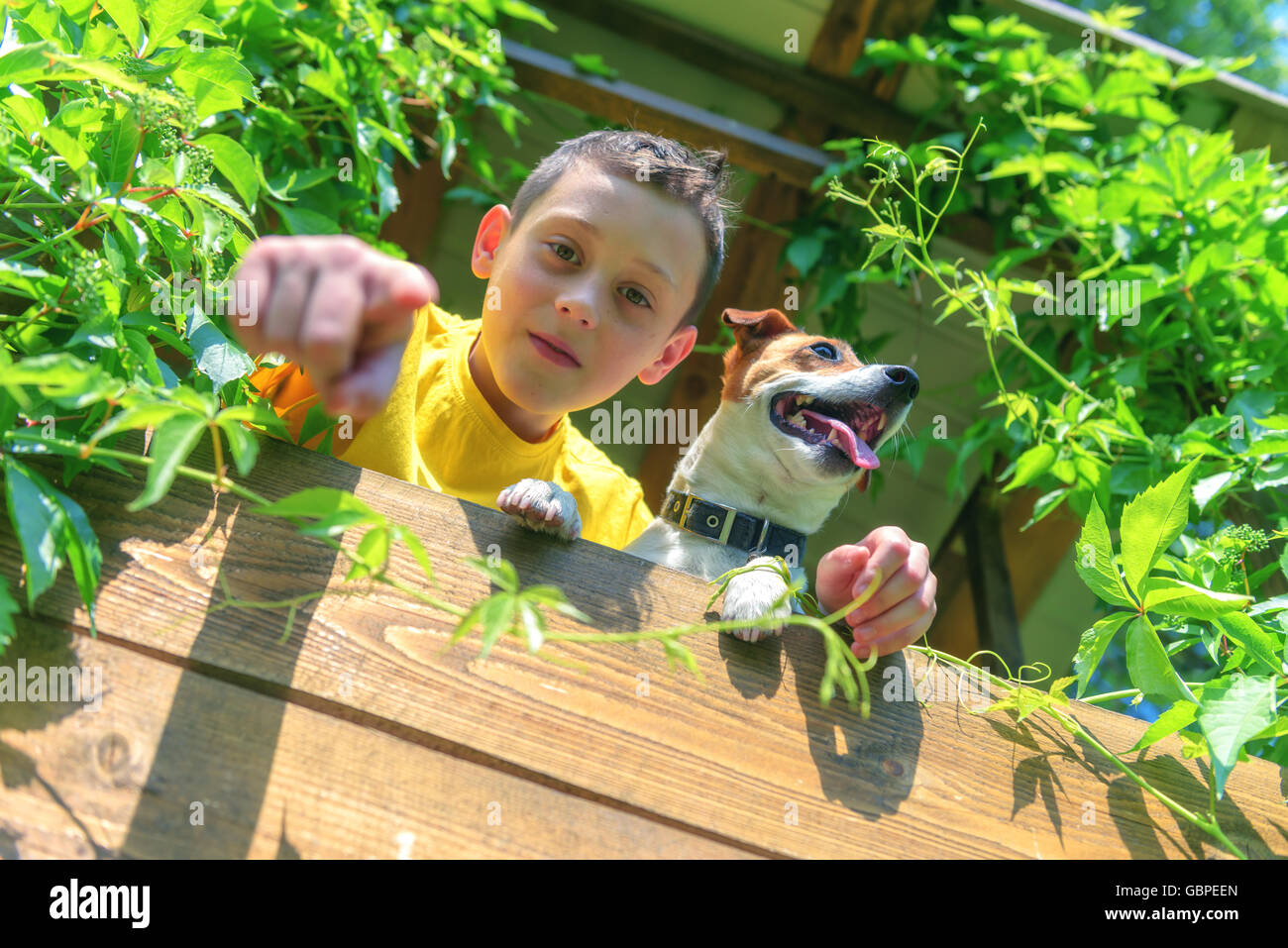 Lächelnde junge mit Hund auf Baumhaus. Sommer-Zeit! Stockfoto