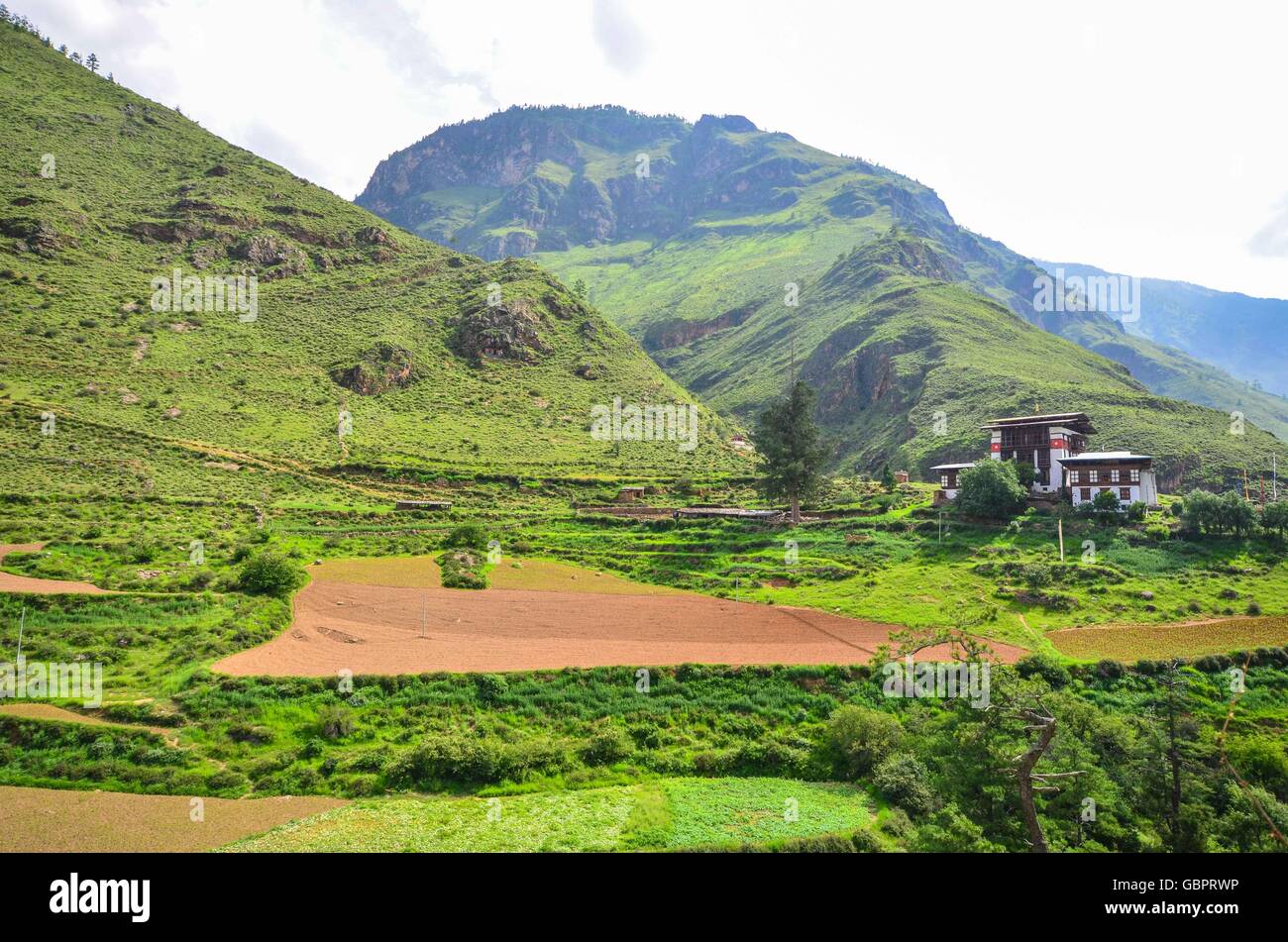 Üppig grüne Berge in Bhutan Stockfoto