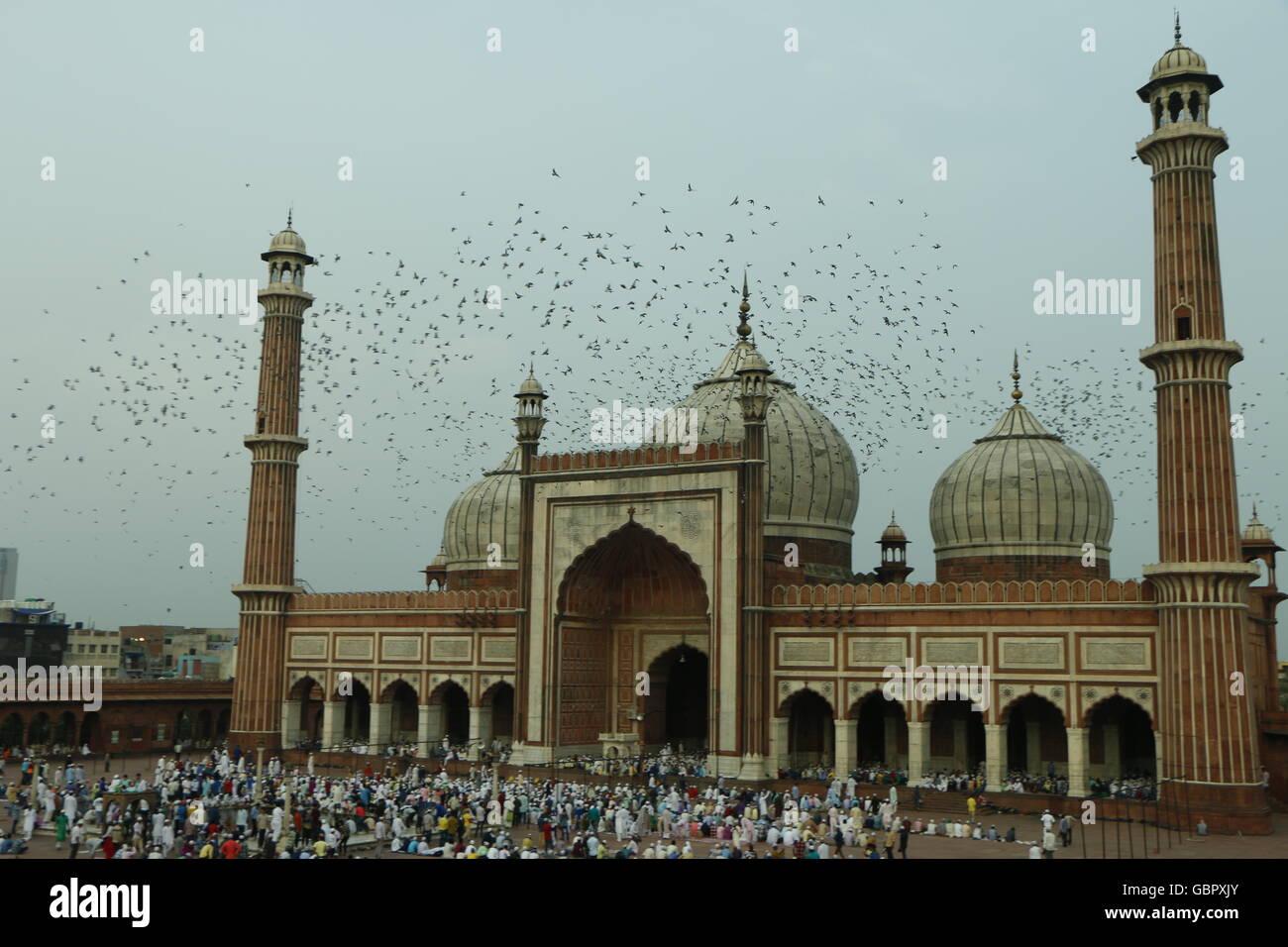 Neu Delhi, Indien. Juli 2016. Aufnahme von Jama Masjid aus glückverheißenden Anlässen von Eid. Menschen, die nach dem heiligen Monat Ramadan in der Jama Masjid Moschee am Eid beten. Delhi berühmte Moschee - JAMA MASJID in ALTEN DELHI, INDIEN Stockfoto