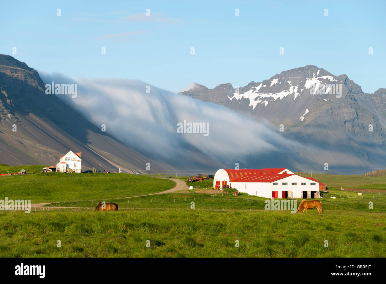 Bauernhof in der Nähe von Hofn, Island / Höfn Stockfoto