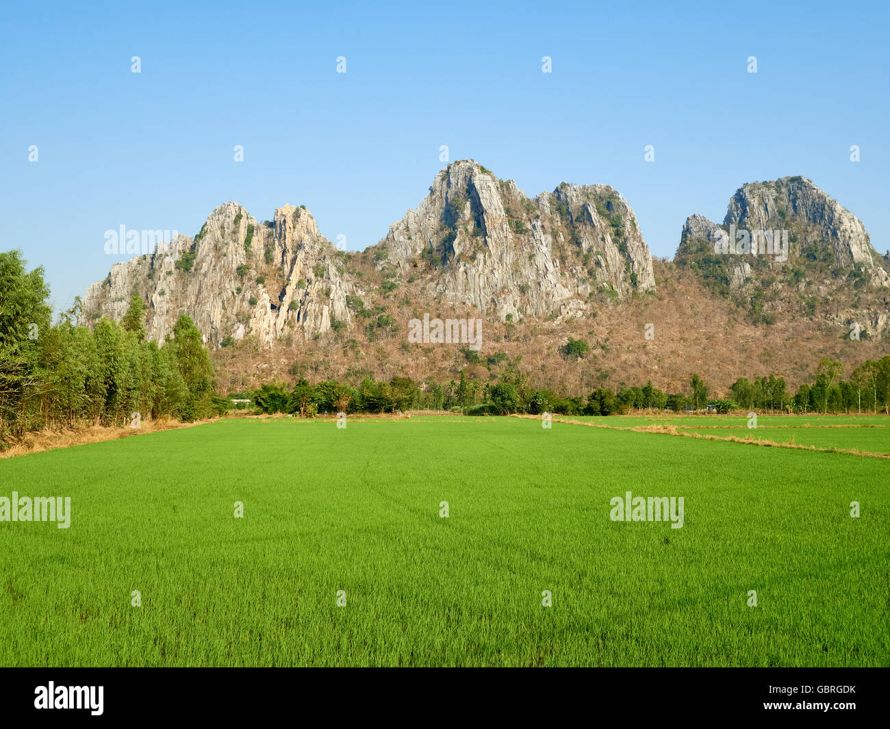 Eine grüne Reisfeld befindet sich auf dem Lande, überragt von Khao No Khao Kaeo einen Kalkstein-Hügel. Stockfoto