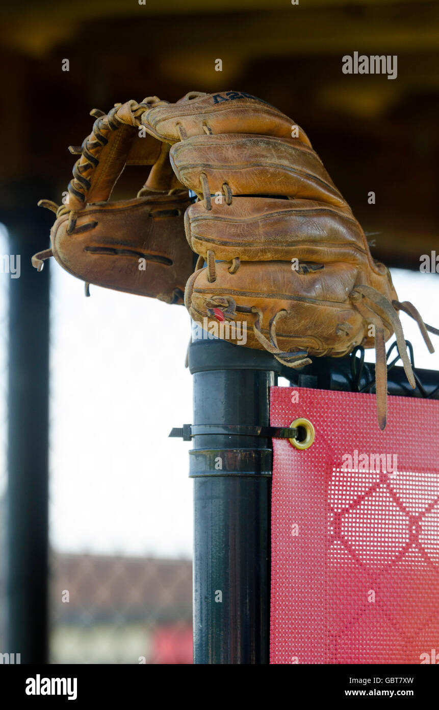 Baseball-Handschuh im Einbaum Stockfoto